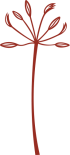 simbolo-alcaravea